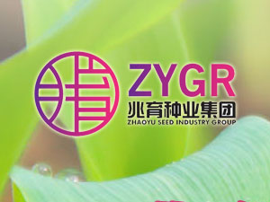 【簽約】河北兆育種業(yè)集團(tuán)有限公司，簽署網(wǎng)站改版升級合同