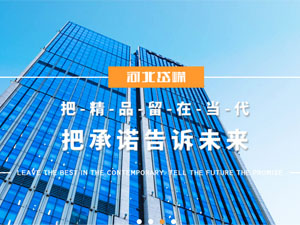 河北岱嶸建設(shè)有限公司，與我公司簽署網(wǎng)站建設(shè)合同