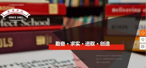企業(yè)網站建設網站星型模型