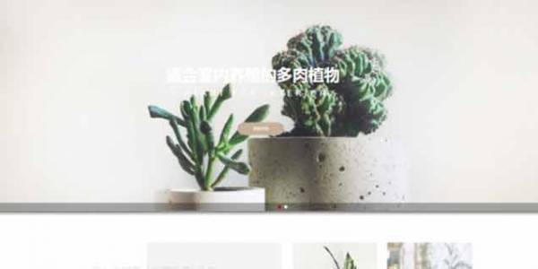 如何開(kāi)發(fā)公司網(wǎng)站制作Web 前端？
