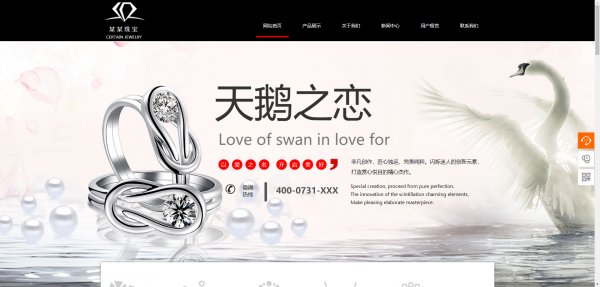 企業(yè)網(wǎng)站建設(shè)，視頻網(wǎng)站運(yùn)營(yíng)模式類(lèi)別