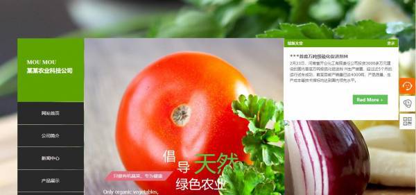 公司網(wǎng)站制作，秩序與靈動并存的網(wǎng)頁設(shè)計(jì)